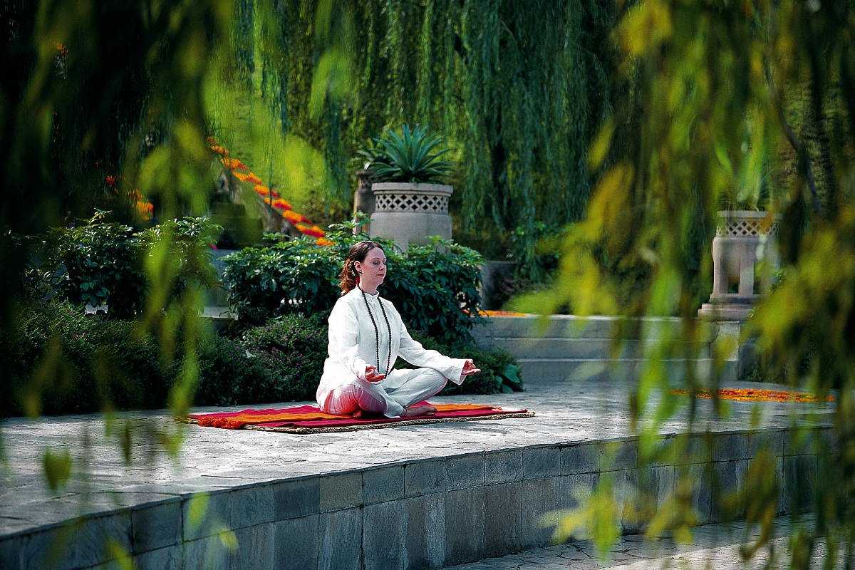 Ananda in the Himalayas