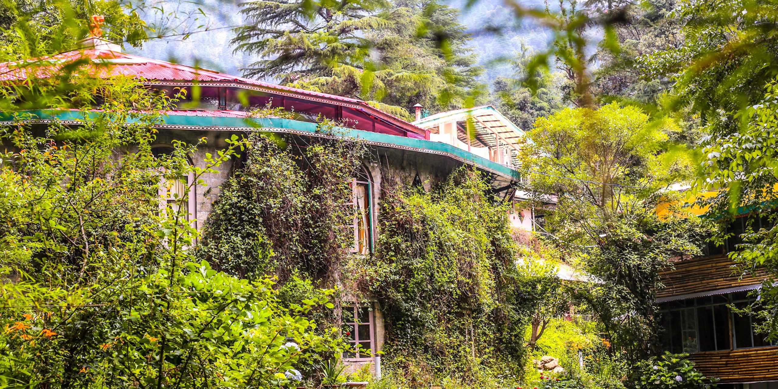 Himalayan Iyengar Yoga Centre (HIYC)